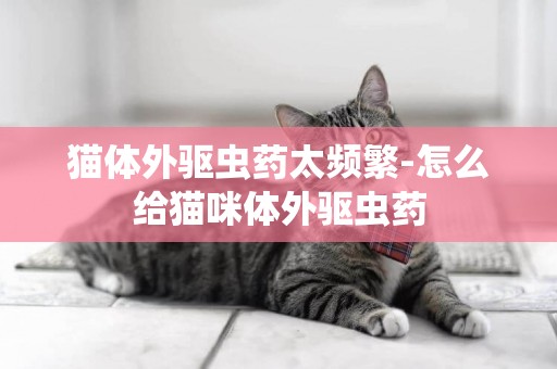 貓體外驅蟲藥太頻繁-怎么給貓咪體外驅蟲藥