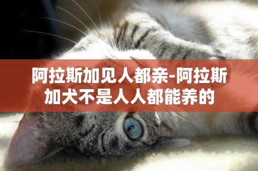 阿拉斯加見人都親-阿拉斯加犬不是人人都能養的