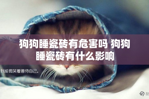 狗狗睡瓷磚有危害嗎 狗狗睡瓷磚有什么影響