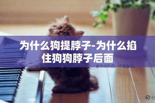 為什么狗提脖子-為什么掐住狗狗脖子后面