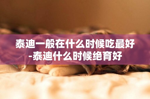 泰迪一般在什么時候吃最好-泰迪什么時候絕育好