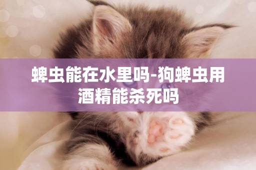 蜱蟲能在水里嗎-狗蜱蟲用酒精能殺死嗎