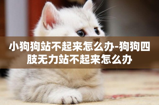 小狗狗站不起來怎么辦-狗狗四肢無力站不起來怎么辦