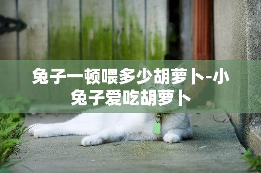 兔子一頓喂多少胡蘿卜-小兔子愛吃胡蘿卜