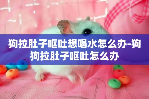 狗拉肚子嘔吐想喝水怎么辦-狗狗拉肚子嘔吐怎么辦