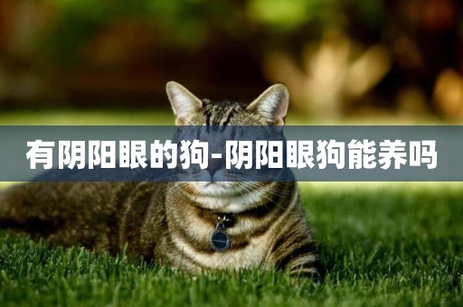 有陰陽眼的狗-陰陽眼狗能養嗎
