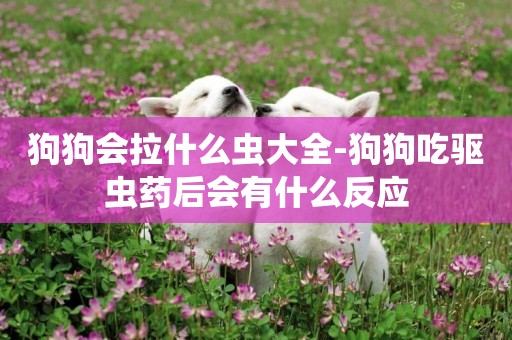 狗狗會拉什么蟲大全-狗狗吃驅蟲藥后會有什么反應