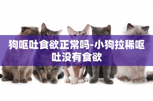 狗嘔吐食欲正常嗎-小狗拉稀嘔吐沒有食欲
