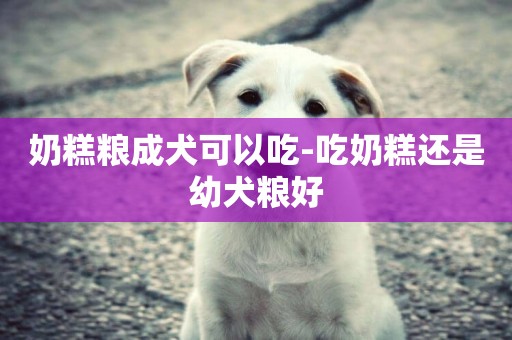 奶糕糧成犬可以吃-吃奶糕還是幼犬糧好