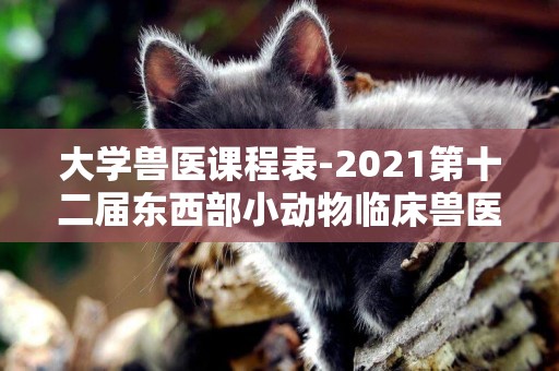 大學獸醫課程表-2021第十二屆東西部小動物臨床獸醫師大會盛大開幕