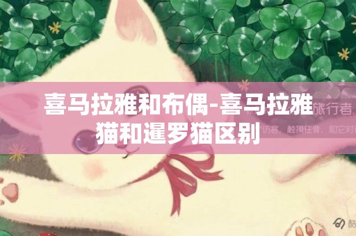 喜馬拉雅和布偶-喜馬拉雅貓和暹羅貓區別