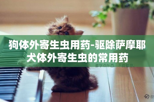 狗體外寄生蟲用藥-驅除薩摩耶犬體外寄生蟲的常用藥