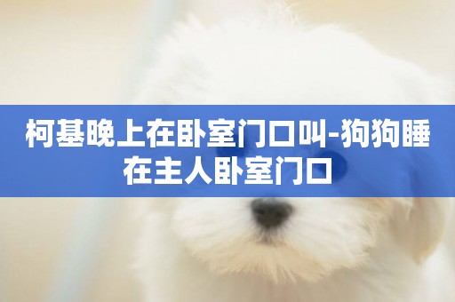 柯基晚上在臥室門口叫-狗狗睡在主人臥室門口