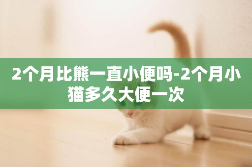 2個月比熊一直小便嗎-2個月小貓多久大便一次