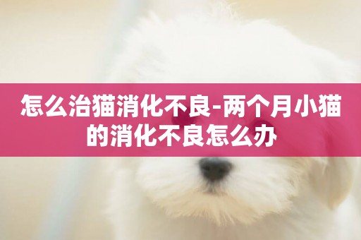 怎么治貓消化不良-兩個月小貓的消化不良怎么辦