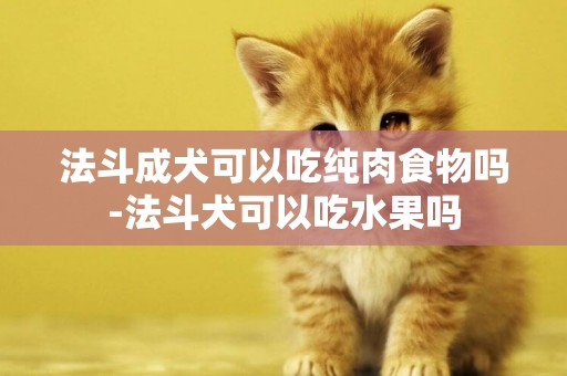 法斗成犬可以吃純肉食物嗎-法斗犬可以吃水果嗎
