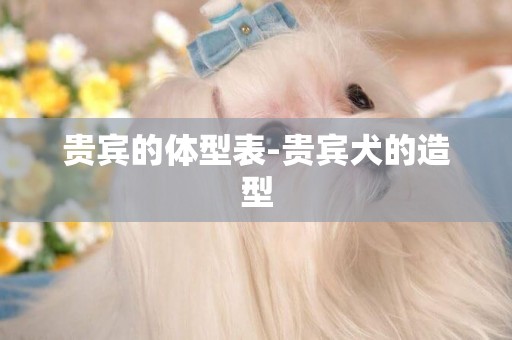 貴賓的體型表-貴賓犬的造型