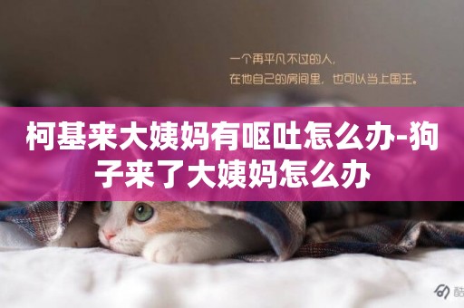 柯基來大姨媽有嘔吐怎么辦-狗子來了大姨媽怎么辦