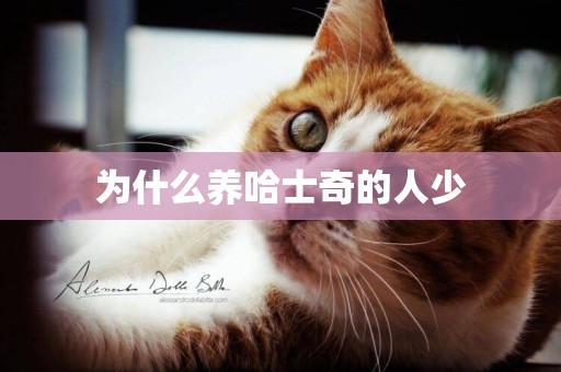 為什么養哈士奇的人少