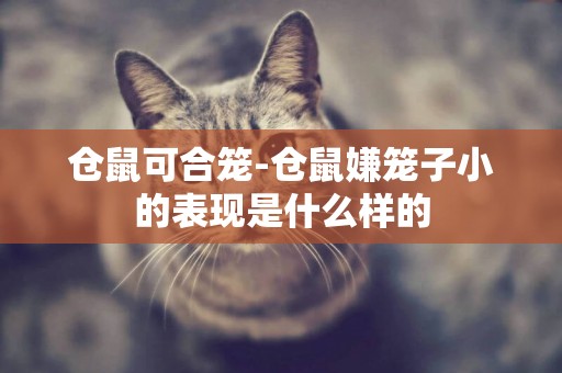 倉鼠可合籠-倉鼠嫌籠子小的表現是什么樣的