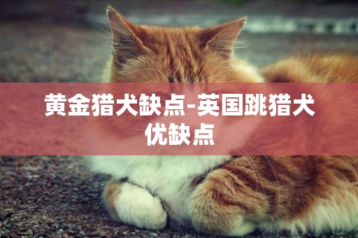 黃金獵犬缺點-英國跳獵犬優缺點