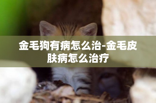 金毛狗有病怎么治-金毛皮膚病怎么治療