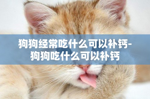 狗狗經常吃什么可以補鈣-狗狗吃什么可以補鈣