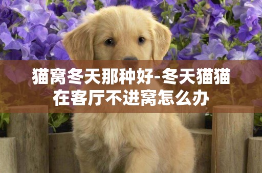 貓窩冬天那種好-冬天貓貓在客廳不進窩怎么辦