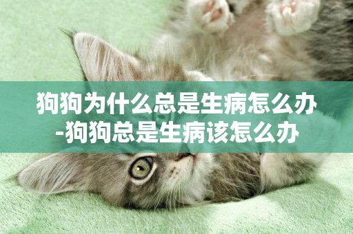 狗狗為什么總是生病怎么辦-狗狗總是生病該怎么辦