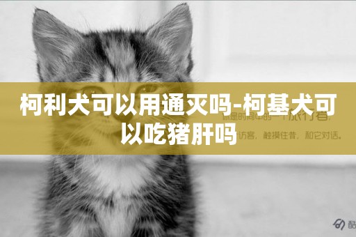 柯利犬可以用通滅嗎-柯基犬可以吃豬肝嗎
