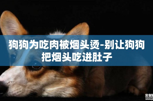 狗狗為吃肉被煙頭燙-別讓狗狗把煙頭吃進肚子