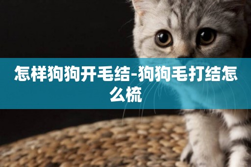 怎樣狗狗開毛結-狗狗毛打結怎么梳