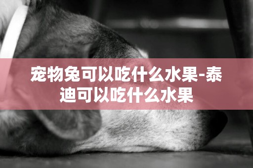 寵物兔可以吃什么水果-泰迪可以吃什么水果