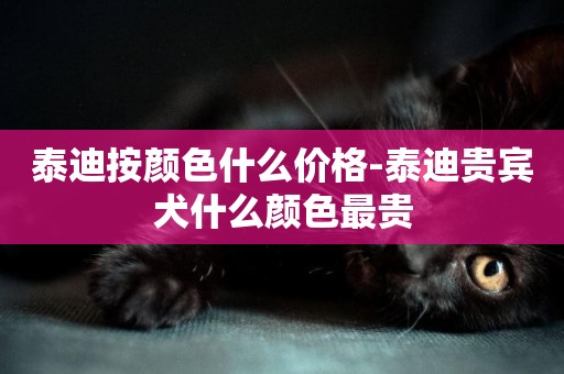 泰迪按顏色什么價格-泰迪貴賓犬什么顏色最貴