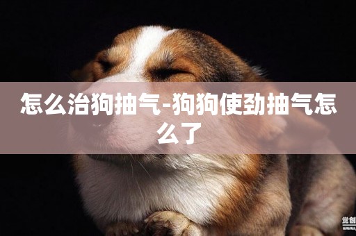 怎么治狗抽氣-狗狗使勁抽氣怎么了