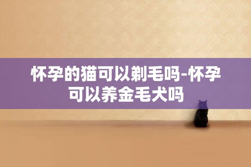 懷孕的貓可以剃毛嗎-懷孕可以養金毛犬嗎