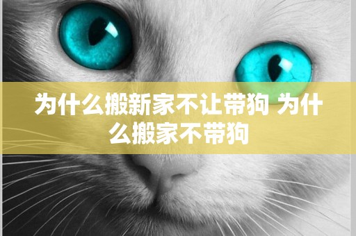 為什么搬新家不讓帶狗 為什么搬家不帶狗