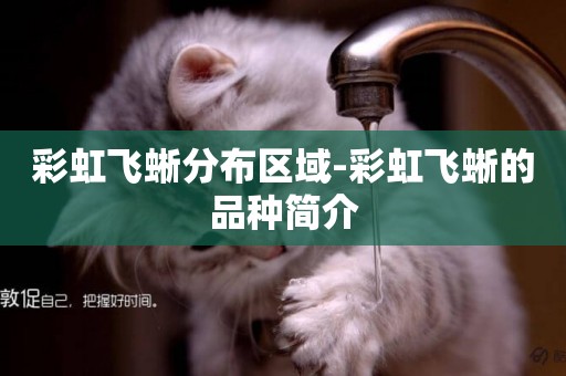 彩虹飛蜥分布區域-彩虹飛蜥的品種簡介