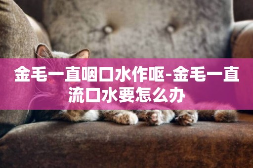 金毛一直咽口水作嘔-金毛一直流口水要怎么辦