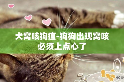 犬窩咳狗瘟-狗狗出現窩咳必須上點心了