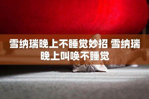 雪納瑞晚上不睡覺妙招 雪納瑞晚上叫喚不睡覺
