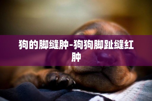 狗的腳縫腫-狗狗腳趾縫紅腫