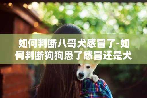 如何判斷八哥犬感冒了-如何判斷狗狗患了感冒還是犬瘟熱