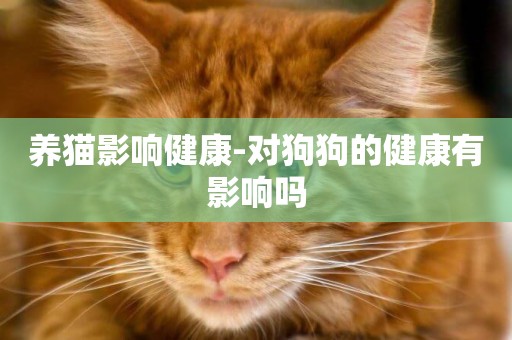 養貓影響健康-對狗狗的健康有影響嗎