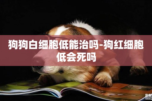 狗狗白細胞低能治嗎-狗紅細胞低會死嗎