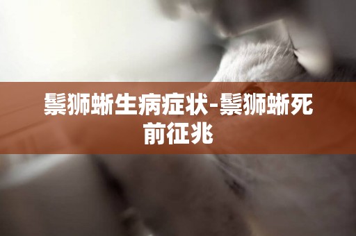 鬃獅蜥生病癥狀-鬃獅蜥死前征兆