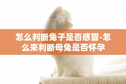怎么判斷兔子是否感冒-怎么來判斷母兔是否懷孕
