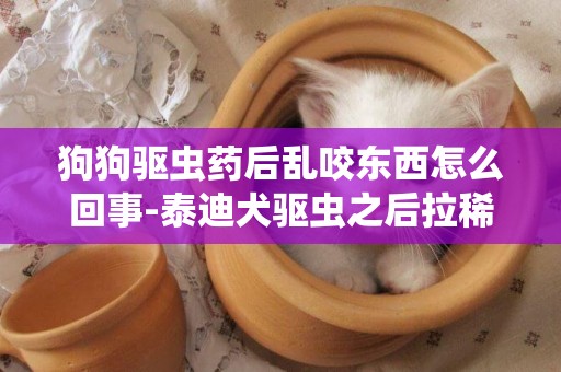 狗狗驅蟲藥后亂咬東西怎么回事-泰迪犬驅蟲之后拉稀嚴重怎么回事