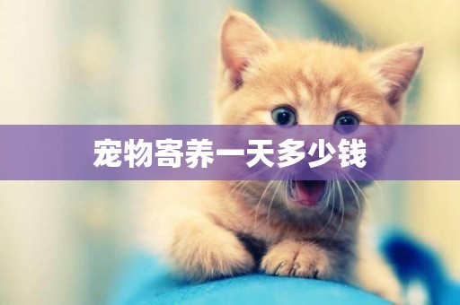 寵物寄養一天多少錢