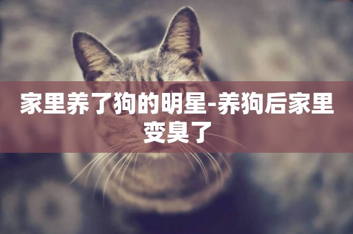 家里養了狗的明星-養狗后家里變臭了
